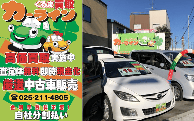 ガイアウェブ《Gaiaweb》デザイン｜カーライン